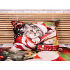 3D povlečení 140x200+70x90 Christmas Kitty