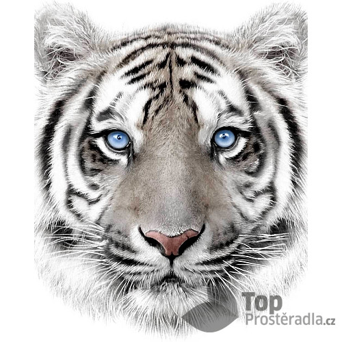 Dětská deka 120x150 – Bílý tygr