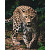 Dětská deka 120x150 – Leopard Green