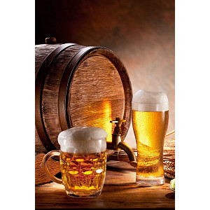Fleecová deka 100x150 - Golden beer