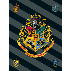 Fleecová deka 100x150 - Harry Potter