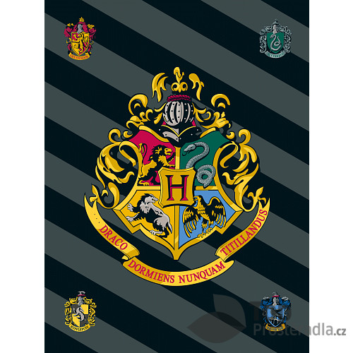 Fleecová deka 100x150 - Harry Potter