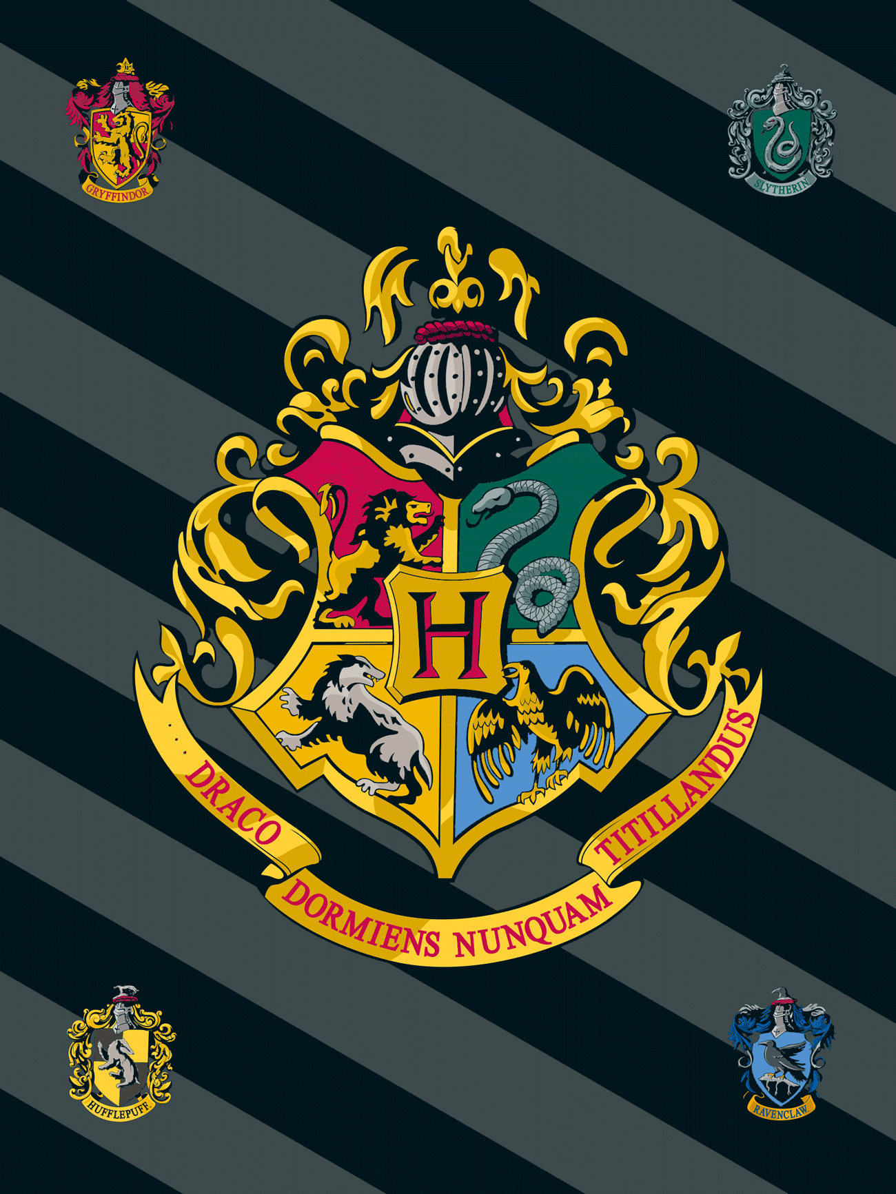 TP Fleecová deka 100x150 - Harry Potter