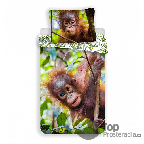 Bavlněné povlečení 140x200+70x90 Orangutan