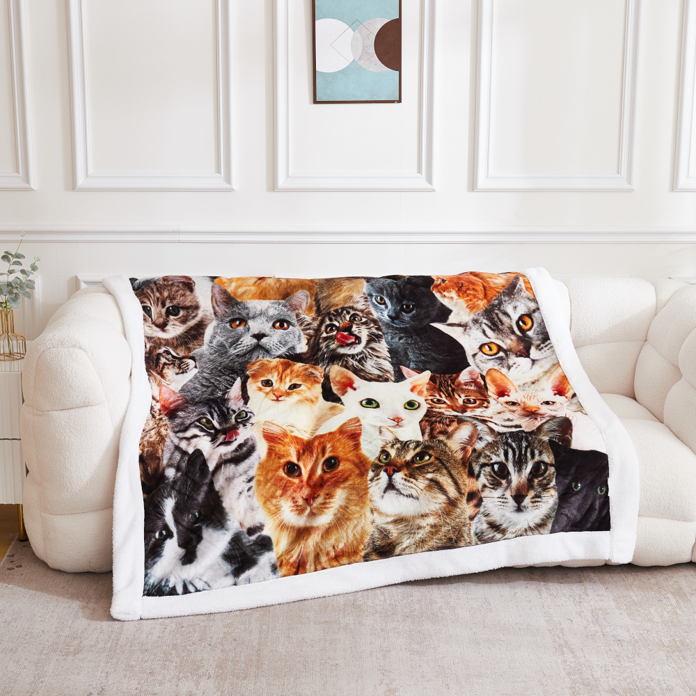 TOP Deka beránek 150x200 - Superior - Kočkovaná