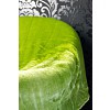 Mikroflanelová deka Premium 230x200 - Zelená