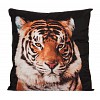 Set 3D povlak 45x45 - Black tiger + polštář