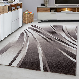 Kusový koberec Parma 9210 brown 80x150