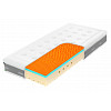 Super Fox Visco Wellness 22 70x200
