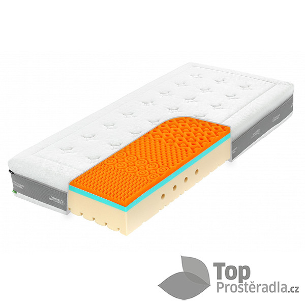 Super FOX Visco Wellness 26 100x200