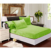 Mikroplyšové prostěradlo 180x200 Elegance - Zelená