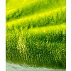 Mikroflanelová deka Premium 150x200 - Zelená