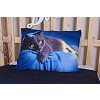 3D Povlečení 140x200+70x90 British cat