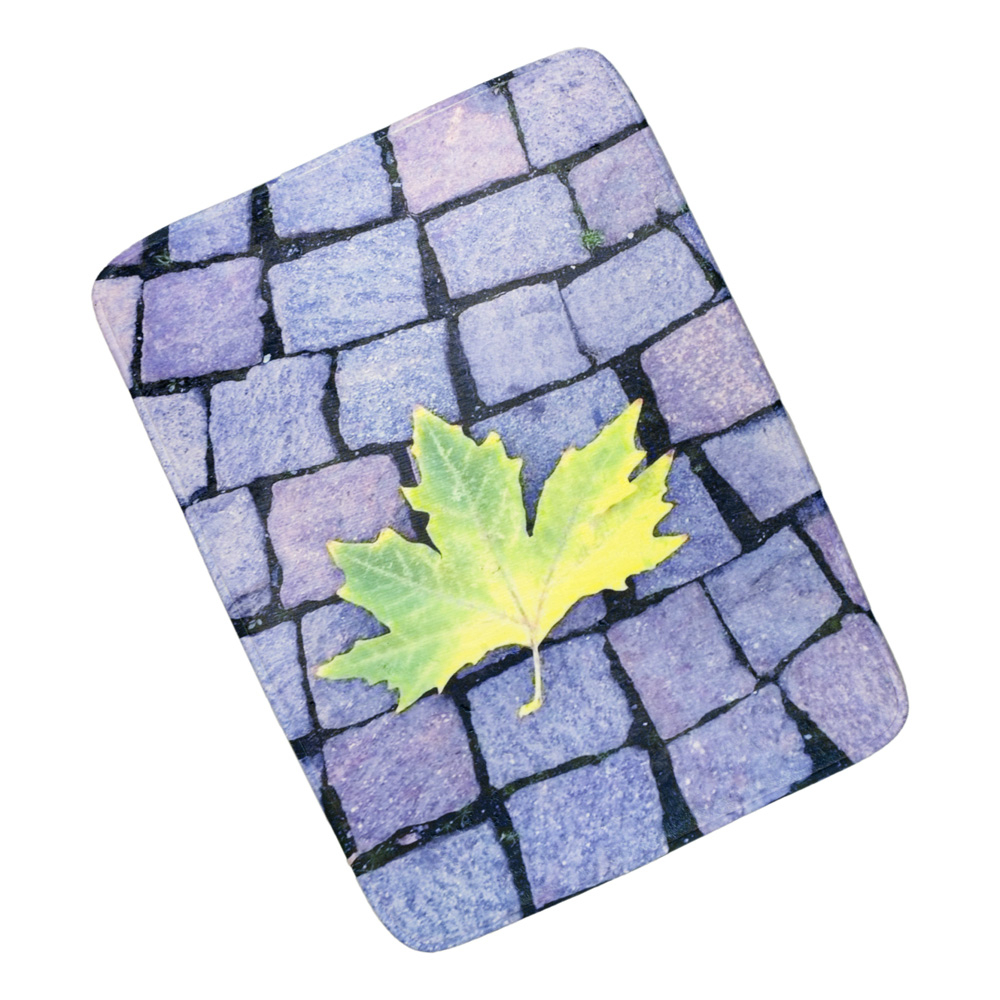 TP 3D Podlahová předložka 50x70 Chodník