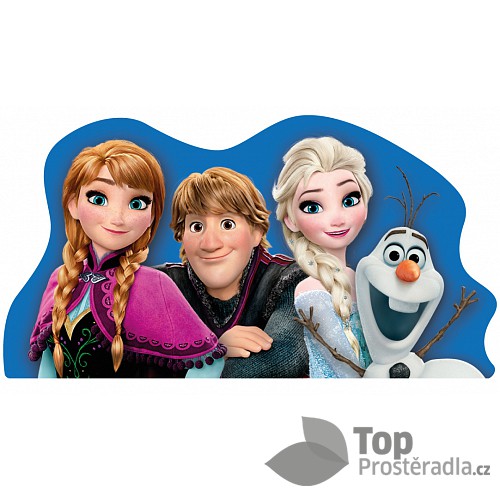 Tvarovaný polštářek Frozen family