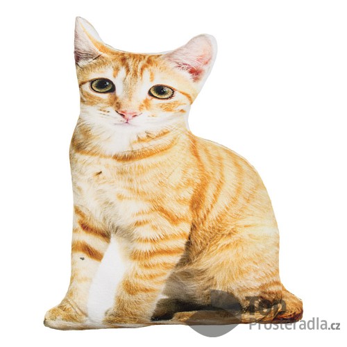Tvarovaný polštářek ANIMALS - Slim cat