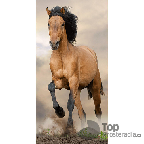 Osuška 70x140 - Kůň