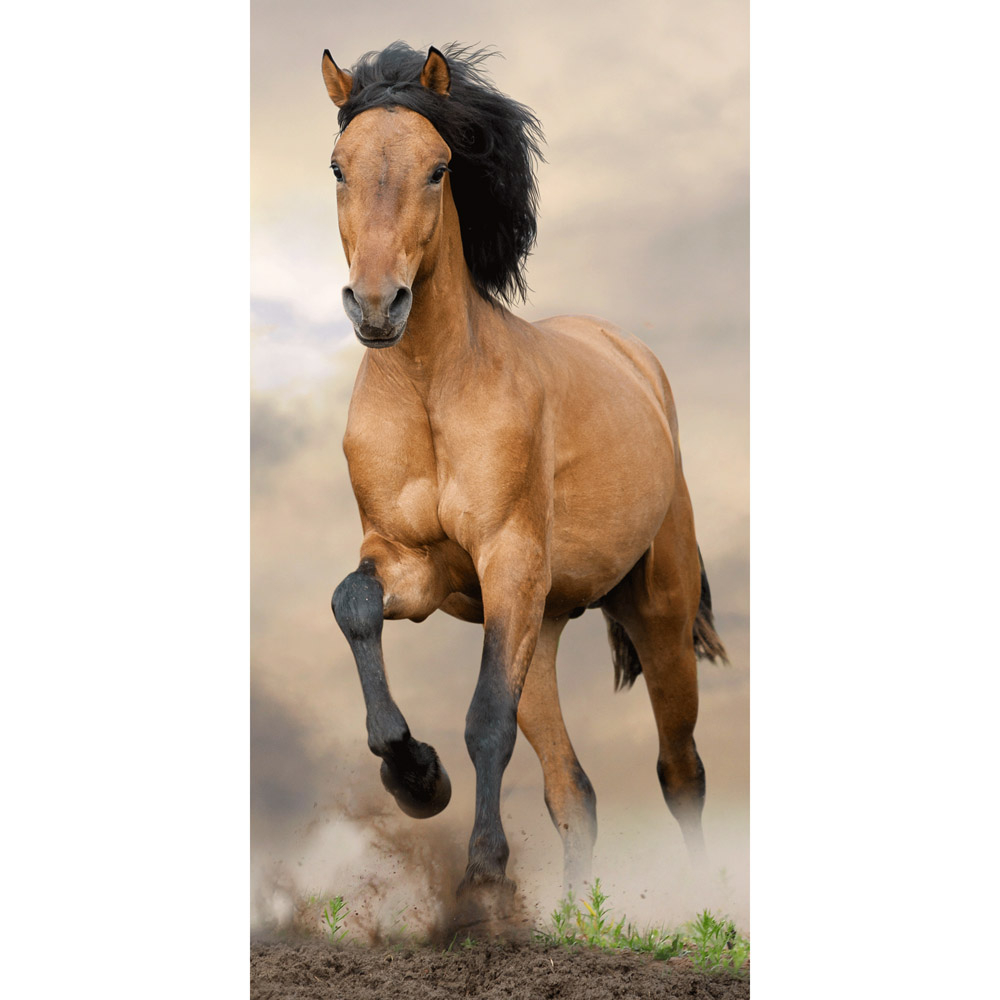 TP Osuška 70x140 - Kůň