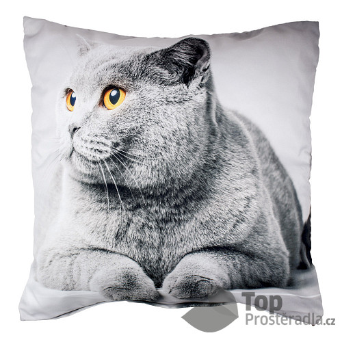 Set 3D povlak 45x45 - Grey Cat + polštář